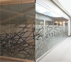Movable Glass Walls Momentum Photo 2